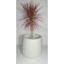 VASO BIOS OFF-WHITE