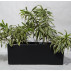JARDINEIRA PRISMA M 66x24cm PRETO JARDINEIRA PRISMA M 66x24cm PRETO
