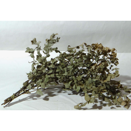 EUCALIPTO DESIDRATADO - MAÇO