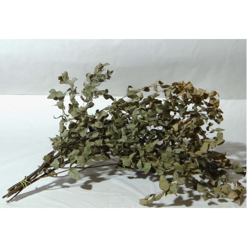 EUCALIPTO DESIDRATADO - MAÇO EUCALIPTO DESIDRATADO - MAÇO