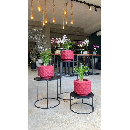 KIT 3 VASOS RECONCAVO 38 MINI VERMELHO COM CHAMEODORA KIT 3 VASOS RECONCAVO 38 MINI VERMELHO COM CHAMEODORA