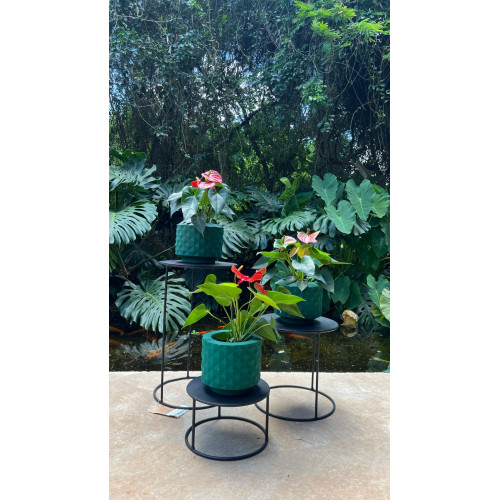 KIT 3 VASOS RECONCAVO 38 MINI VERDE E MINI ANTURIO KIT 3 VASOS RECONCAVO 38 MINI VERDE E MINI ANTURIO