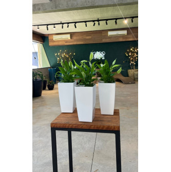 KIT 3 VASOS PIZA BRANCO COM MINI LIRIO DA PAZ