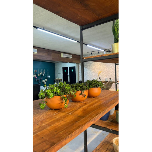 KIT 3 VASOS MINI CUIA TERRACOTA COM TOSTÃO KIT 3 VASOS MINI CUIA TERRACOTA COM TOSTÃO