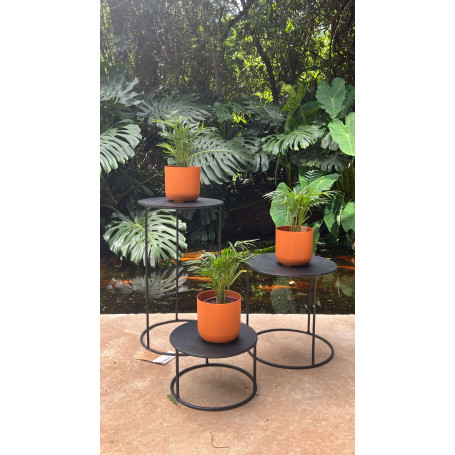 KIT 3 VASOS CACHEPO 02 TERRACOTA COM CHAMEODORA