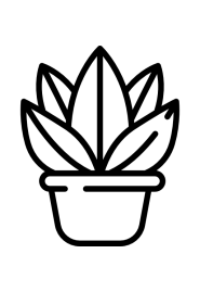 Vasos